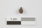 Pépin de raisin. Côté B