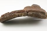 Fragments de vase. Détail du décor de la lèvre