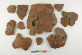 Fragments de vase. Face externe