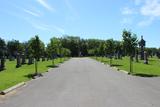Cimetière de Saint-Rémi. Vue générale
