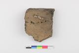 Fragments de vase. Faces internes