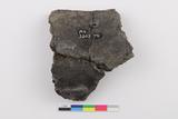 Fragments de vase. Face interne