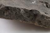 Fragments de vase. Détail de la pâte