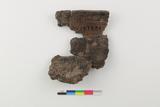 Fragments de vase. Face externe