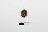 Masquette ou fragment de figurine. Vue de dos