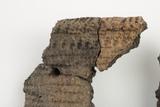 Fragment de vase. Détail du décor, rebord extérieur