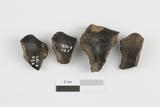 Fragments de fourneau de pipe à couronne. Faces internes