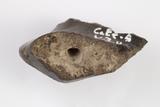 Fragments de fourneau de pipe à couronne. Détail d'un prélèvement