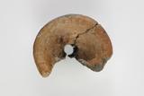 Fragments de fourneau de pipe trompette à anneaux. Dessus