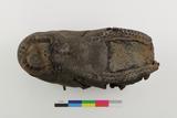 Chaussure d'enfant. Dessous