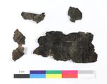 Fragments d'écorce de bouleau. Côté A