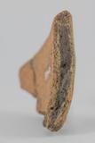 Fragment de vase métissé. Détail de la courbe de la paroi en coupe, de profil