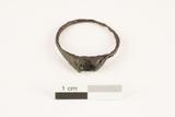 Bague. Vue générale