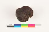 Broquette. Dessous