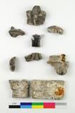 Fragments de moulure. Vue générale