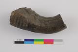 Fragment de pipe à effigie. Vue générale