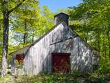 Cabane à sucre. Vue latérale