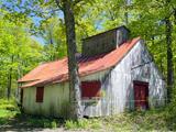 Cabane à sucre. Vue d'angle