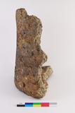 Fragment de cazette. Côté D