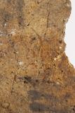 Fragment de cazette. Vue de détail