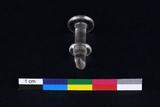 Tête de piston de seringue. Vue générale