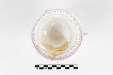 Tasse. Dessus