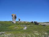 Site patrimonial de l'Archipel-de-Mingan. Vue de détail