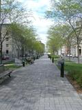 Place de la Grande-Paix. Vue d'ensemble