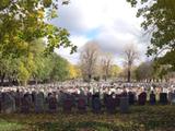 Cimetière Notre-Dame-des-Neiges. Vue d'ensemble