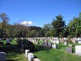 Cimetière du Mont-Royal. Vue d'ensemble