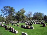 Cimetière du Mont-Royal. Vue d'ensemble