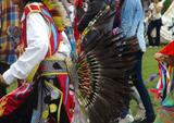 Bouquet de plumes (bustle)