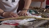 Femme Atikamekw de la communauté d'Opitciwan écorçant une branche pour fabriquer un remède traditionnel.