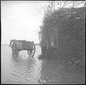 Por d'une pêche en fascine à l'île aux Patins à Kamouraska - 1944
