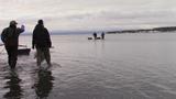 Les pêcheurs se rendent au large pour la cueillette sur le Banc de Saint-Omer (Carleton-sur-Mer) - avril 2017