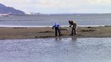 Les enfants participent à la pêche aux coques, Miguasha (Nouvelle) - avril 2017