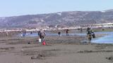 Pêche aux coques, Vendredi saint, Miguasha (Nouvelle) - avril 2017