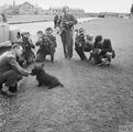 Première conférence de Québec. Le chien du président Roosevelt "Falla" pose pour la presse alors qu'ils attendent des nouvelles des discussions à la conférence de Québec, 18 août 1943. Ils sont à leur tour photographiés par le photographe officiel du secrétariat de la guerre