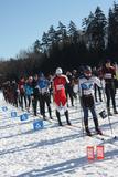 Club de ski Viking. 40e expédition du Viking Ski Loppet, Morin Heights